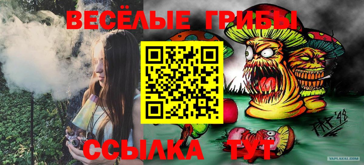 Галлюциногенные грибы GOLDEN TEACHER  хочу наркоту  Михайловск  Вход с VPN 