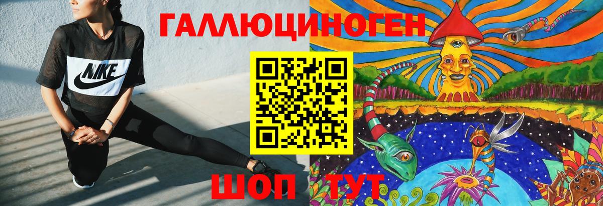 Галлюциногенные грибы Psilocybe Михайловск